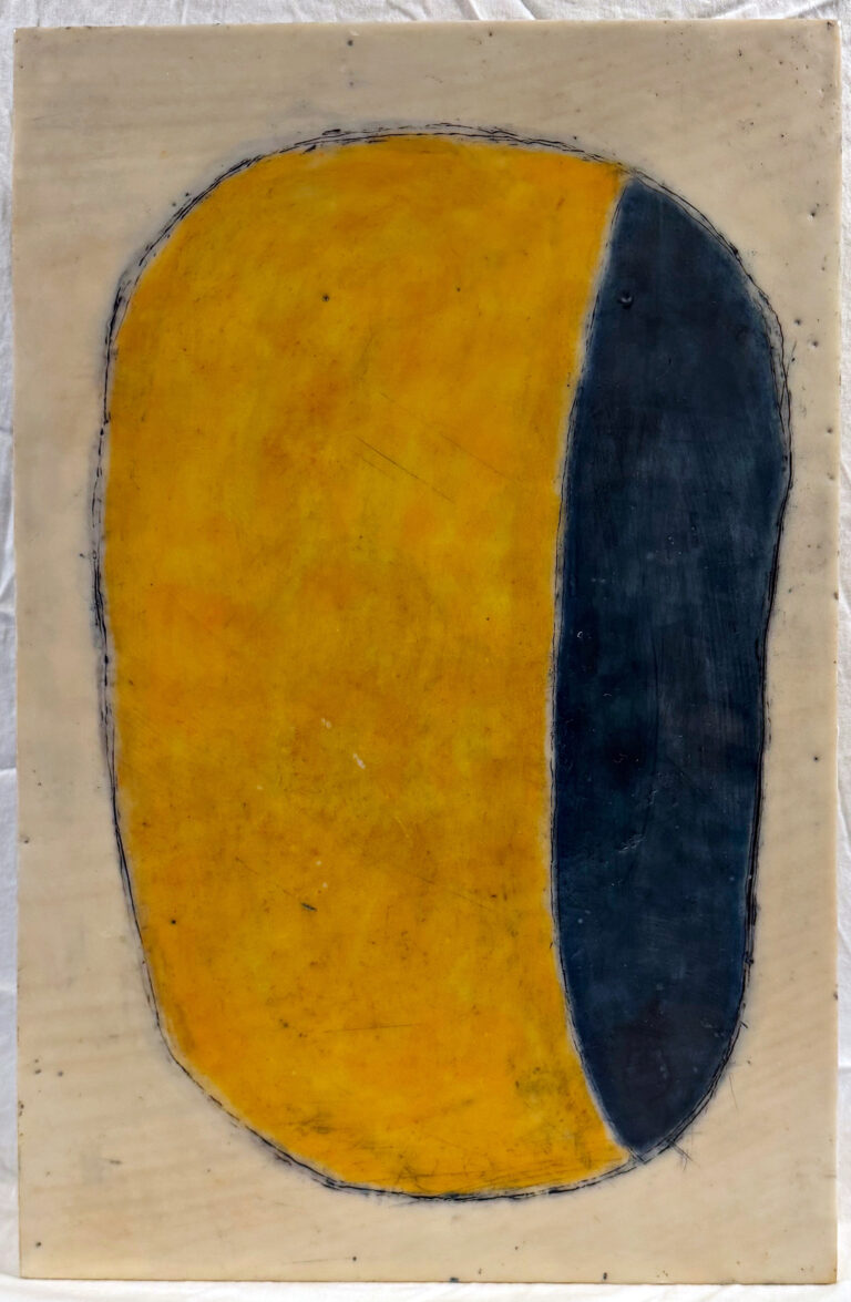 Side Eye I Encaustic Art Friday Harbor